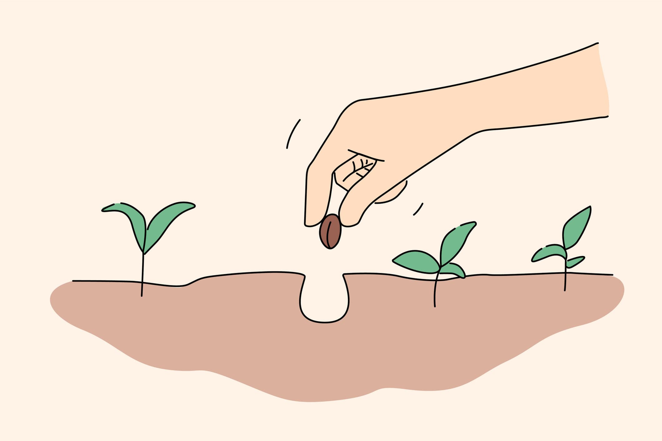 Plant the Seeds for a Successful Spring